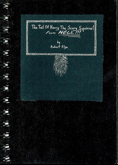 Harry The Scary Squirrel From Hell book cover