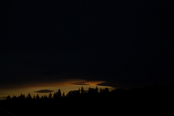 2021 Landscape Select, Tanish Agarwal