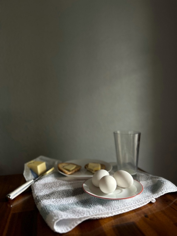 1st Place Still Life, Anna Oleynikova