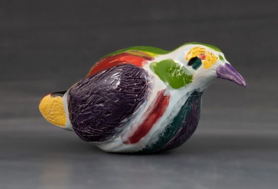 Colorful bird by Blake Hansen