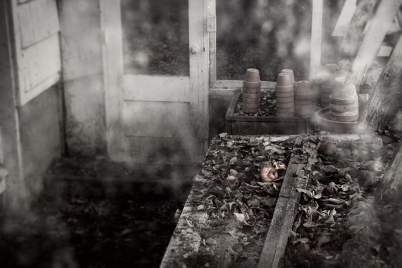 2nd Place Still Life, Ellee London