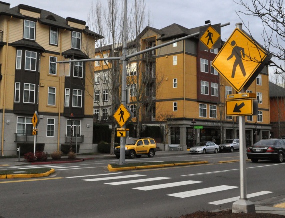 2nd Place Color, Jenna Troy