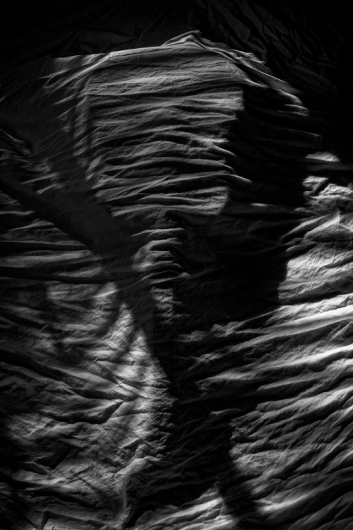 4th Place Still Life, Jennifer Huffman