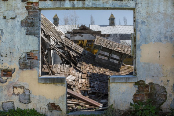 1st Place Color, Josh Clise