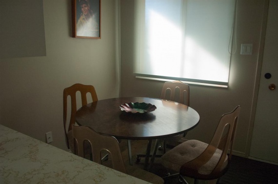 4th Place Still Life, Joshua Netelenbos