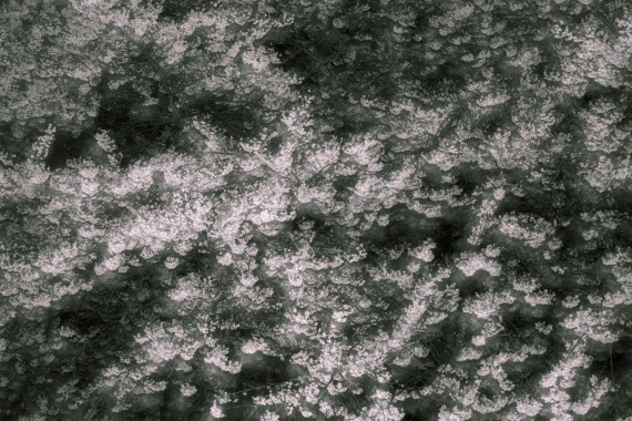 4th Place Abstract, Sophia Lagutang