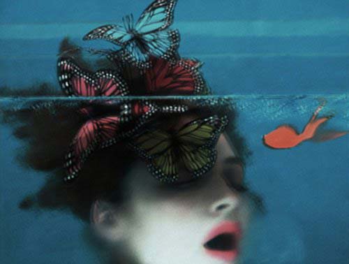 <p><b>Sarah Moon</b></p>