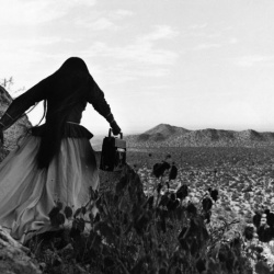 <p><b>Graciela Iturbide</b>, <i>Desierto de Sonora</i>, Mexico, 1979</p>