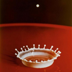 <p><strong>Harold "Doc" Edgerton</strong>, <i>Milk Drop Coronet </i>, 1957, electronic flash technology.</p>