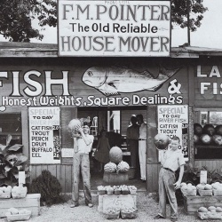 <p><b>Walker Evans</b>, <i>Roadside Stand Near Birmingham</i>, 1936.</p>