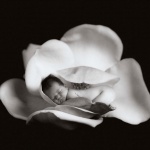 <p><b>Anne Geddes</b>, from the series 'Miracle'.</p>