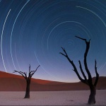 <p><b>Art Wolfe</b>, <i>Star Trails</i>.</p>