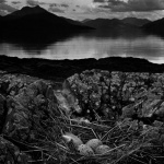 <p><b>Bill Brandt</b>, <i>Gull's Nest, Midsummer Eve, Isle of Skye</i>, 1947.</p>