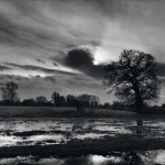 <p><b>Don McCullin</b></p>