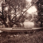 <p><b>Eugène Atget</b>, <i>Étang de Corot, Ville-d'Avray</i>, 1900-1910.</p>