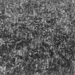 <p><b>Harry Callahan</b></p>