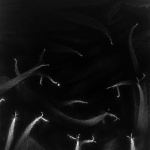 <p><b>Hiroshi Sugimoto</b>, <i>Lightning Fields 190</i>, 2009.</p>