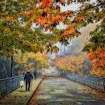 <p><b>Mel Curtis</b>, <i>Walks with Barney, 27 Oct 2018, version 2, </i></p>