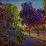 <p><b>Mel Curtis</b>, <i>Morning Bike Ride, 12 Oct 2022</i></p>