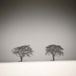 <p><b>Michael Kenna</b></p>