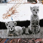<p><b>Peter Beard</b>, <i>Orphaned cheetah cubs at Mweiga National Park headquarters</i>, 1968.</p>