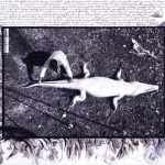 <p><b>Peter Beard</b></p>