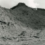 <p><b>Robert Adams</b></p>