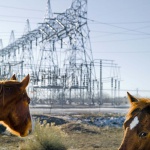 <p><b>Steve Davis</b>, from the series 'American Falls, Idaho', 2010.</p>