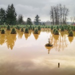 <p><b>Steve Davis</b>, from the series 'The Western Lands'.</p>