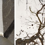 <p><b>Uta Barth</b>, <i>... to walk without destination and to see only to see. (Untitled 10.5)</i>, 2010.</p>
