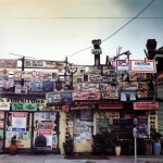 <p><b>William Eggleston</b></p>