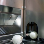 <p><b>Wolfgang Tillmans</b>, <i>Onion</i>, 2010.</p>