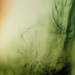 <p><b>Wolfgang Tillmans</b>, <i>Freischwimmer #84</i>, 2004.</p>