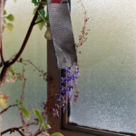 <p><b>Wolfgang Tillmans</b>, <i>Zimmerlinde (Michel)</i>, 2006.</p>
