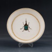 Beetle plate by Sam Frank